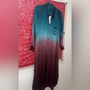 Young, Fabulous, & Broke Ombré Button Down Dress